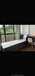 The Luxurie (D19), Condominium #468976731